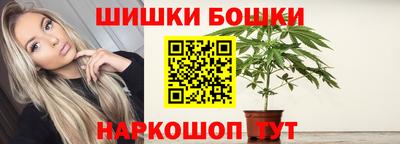 стафф Нальчик